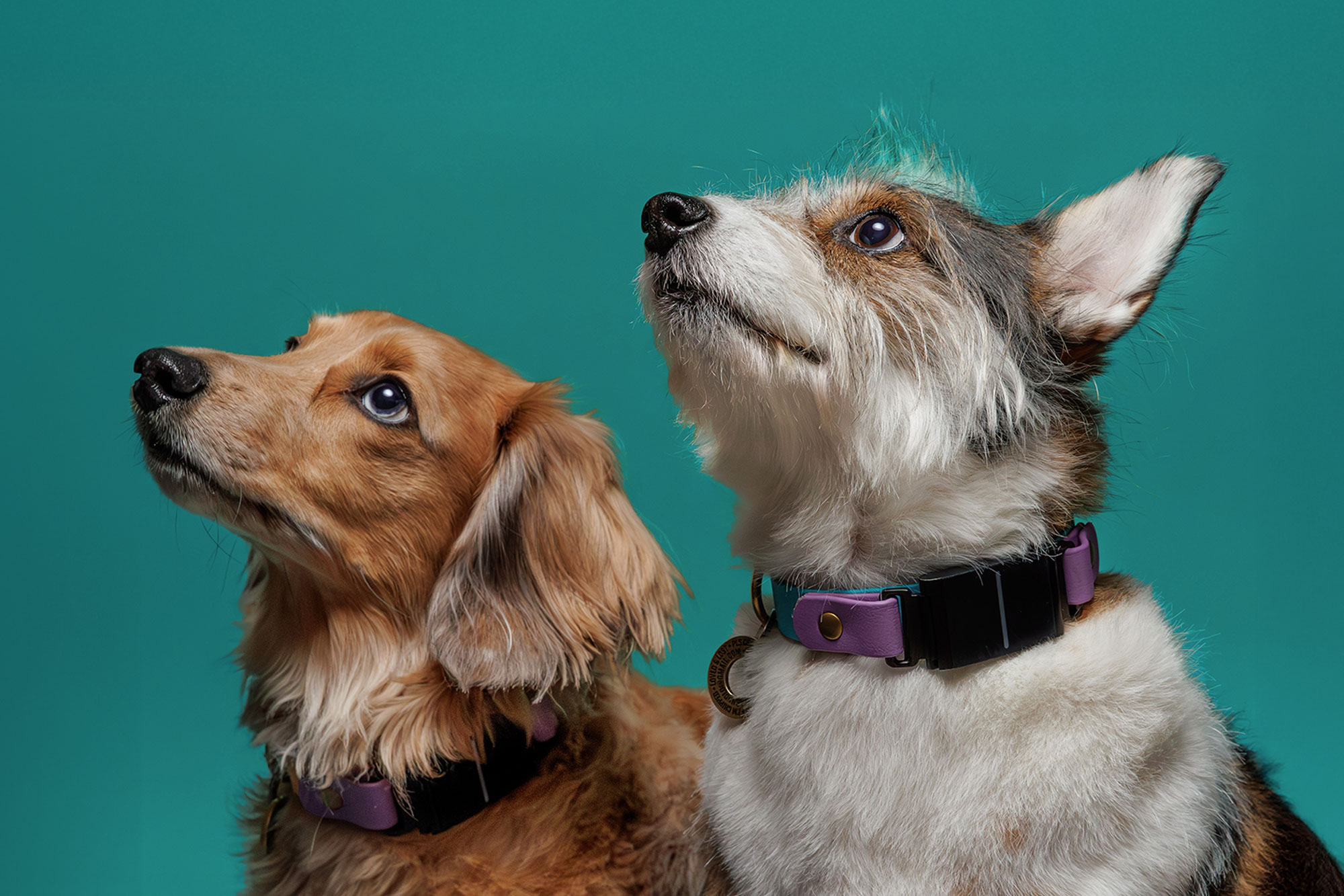 WAF-Rico_Klaus_Green-20251116-0256-4×6