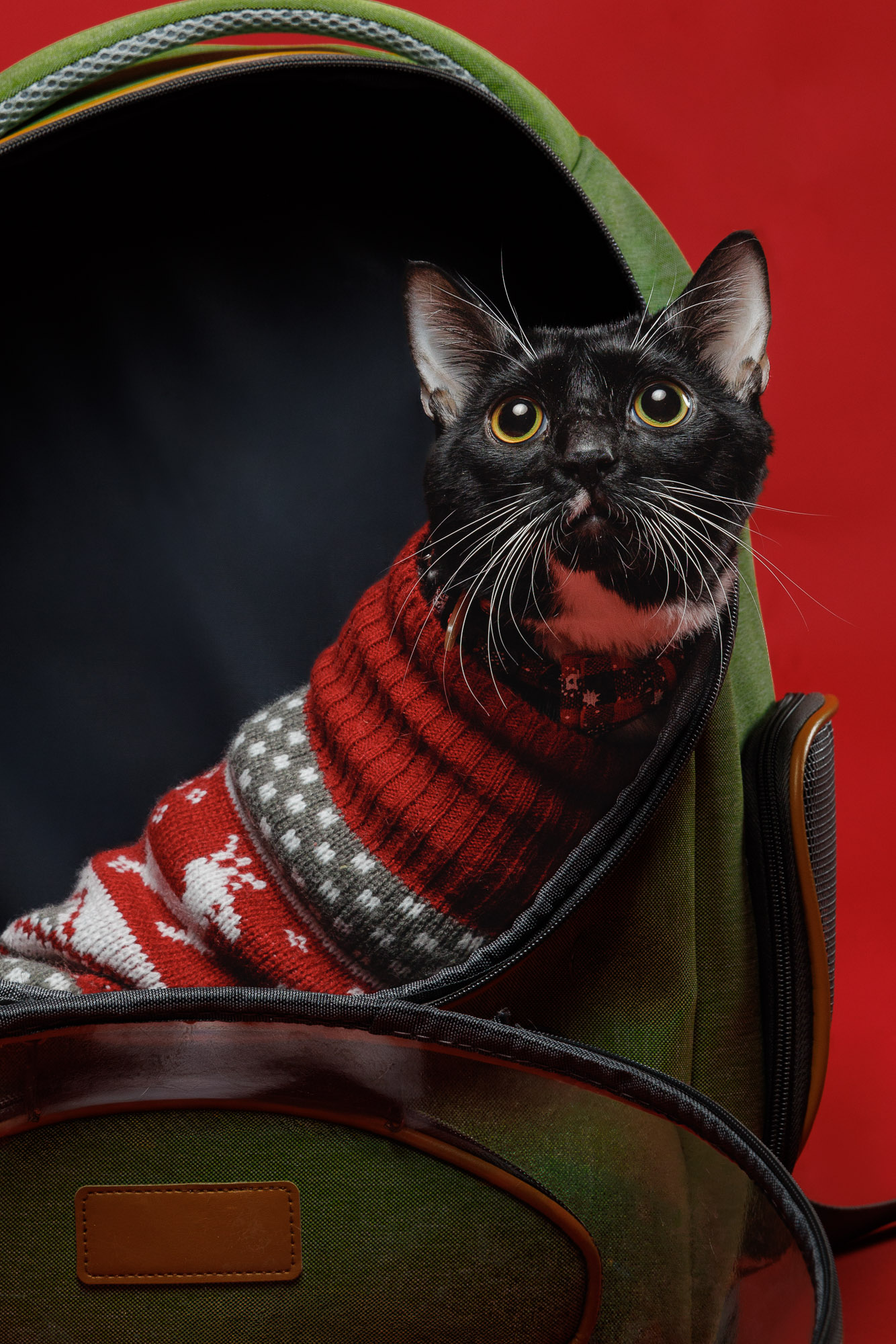 weenieandfriends-nathan-gaze