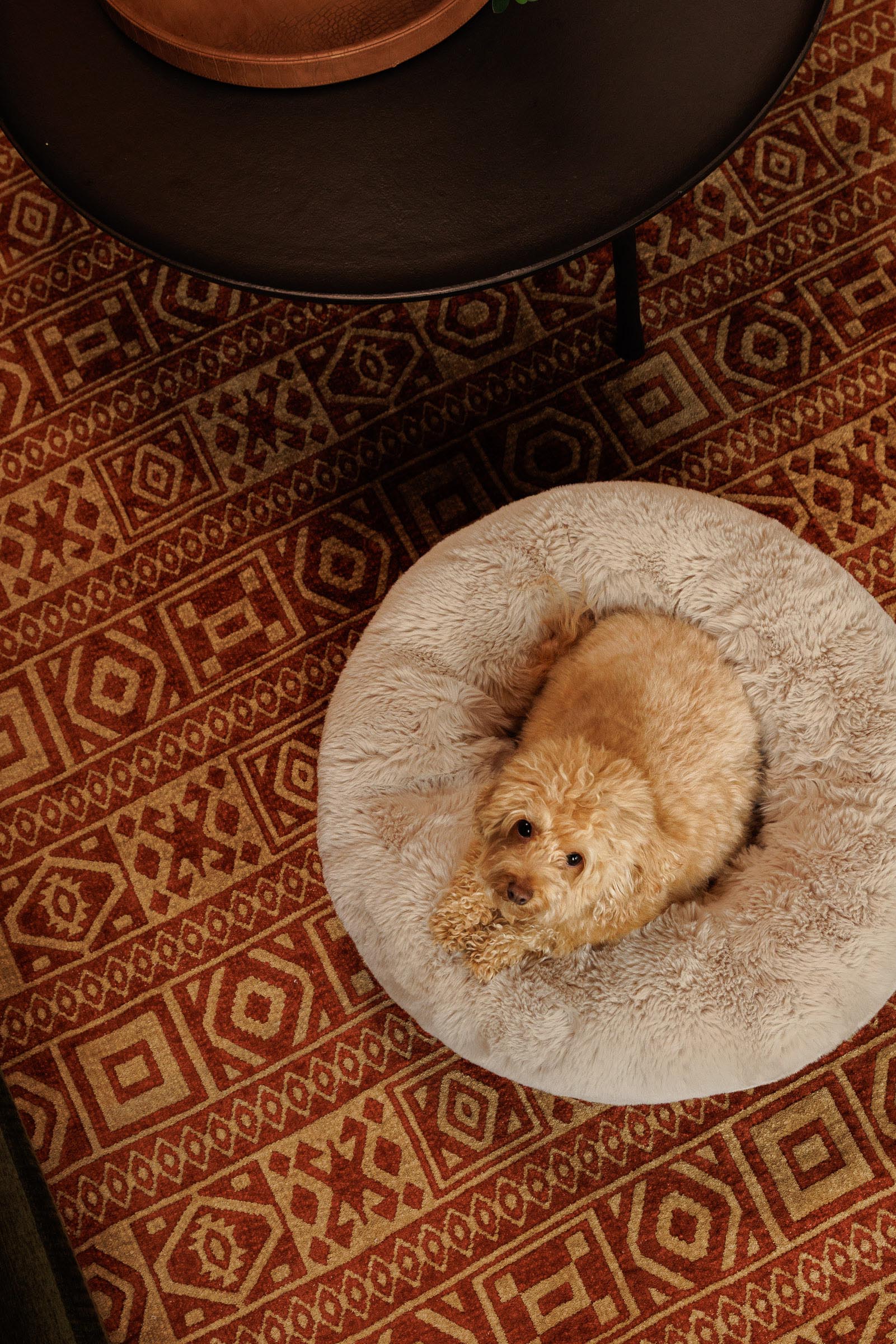 weenieandfriends-olivia-bondst-10