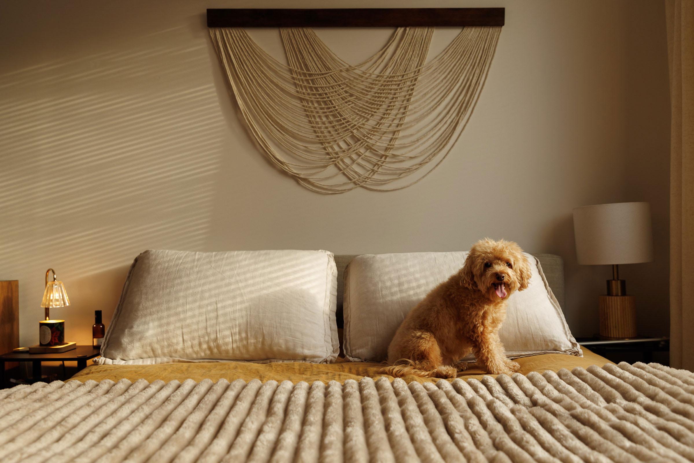 weenieandfriends-olivia-bondst-12